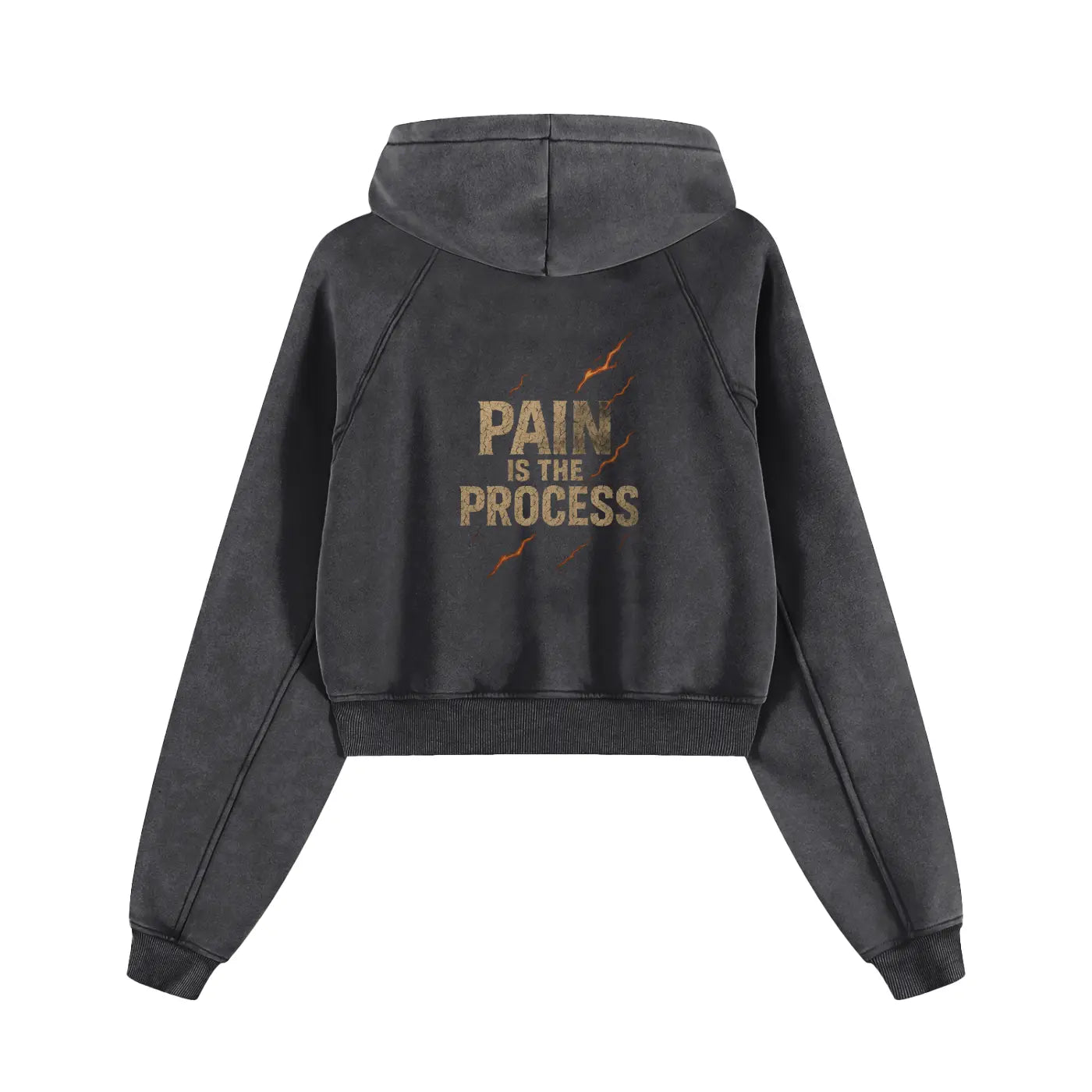 Snow Washed Cropped FLEX Hoodie.