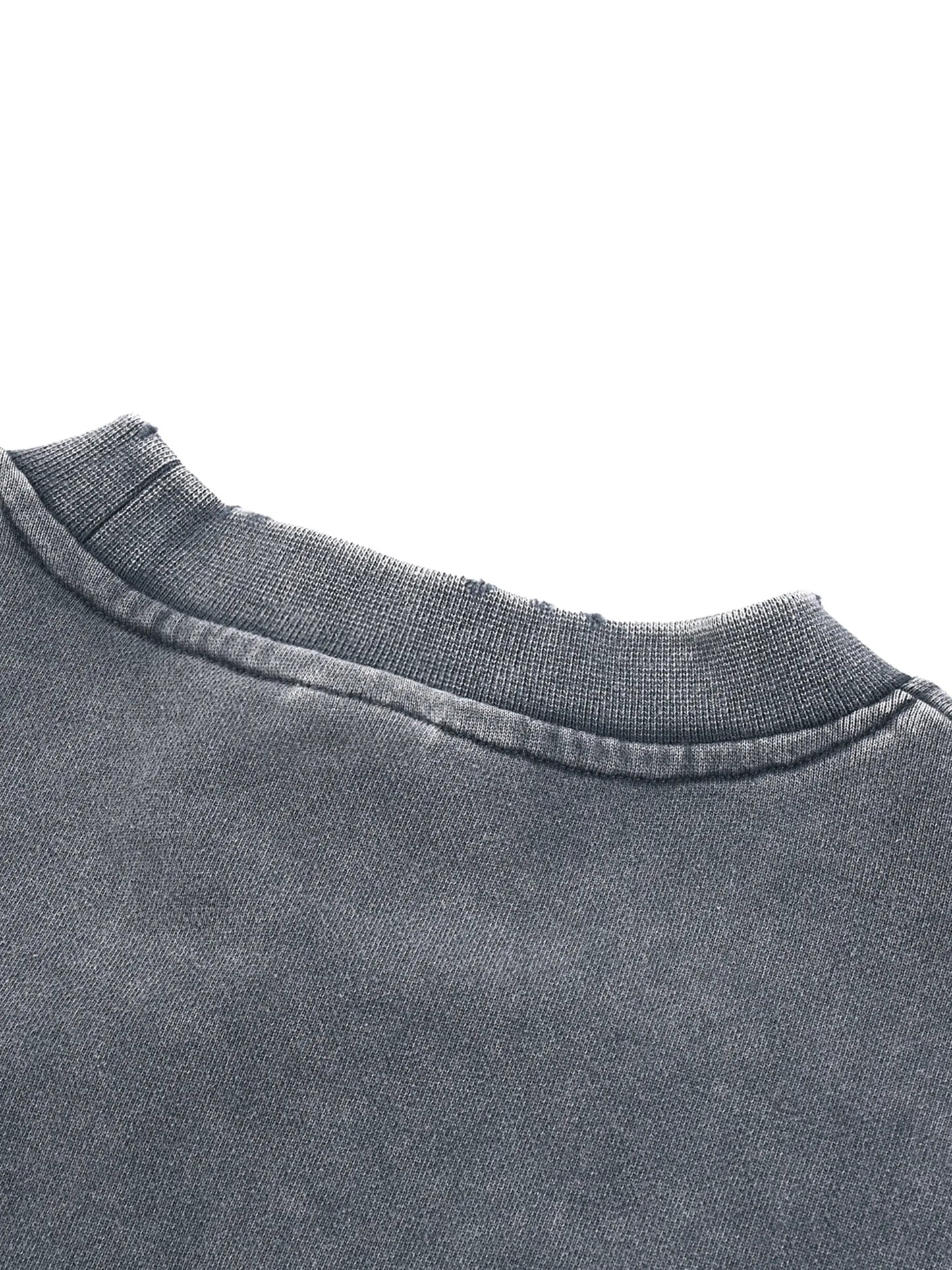 Snow Washed Raw Edge Cropped FLEX Sweatshirt.